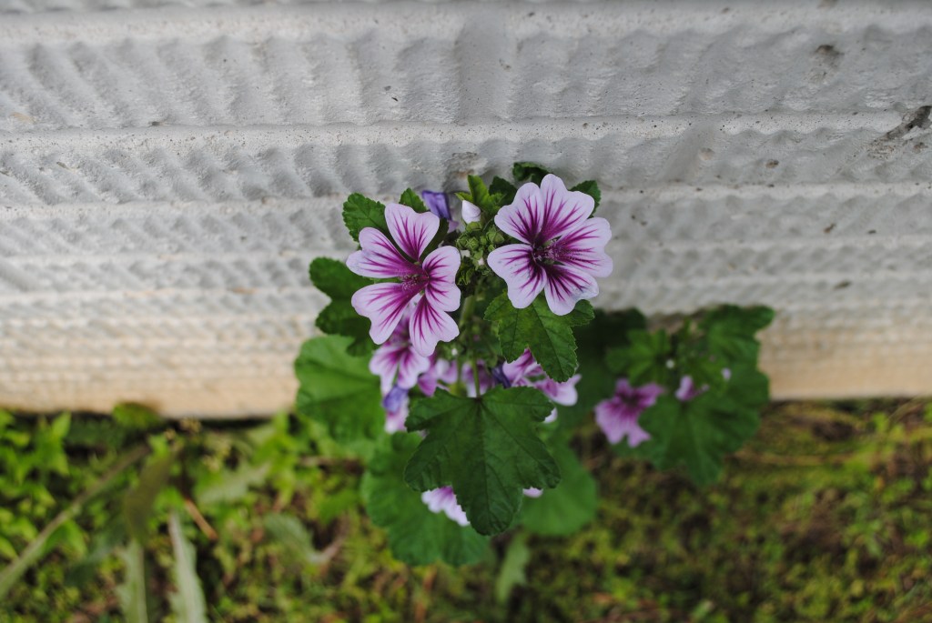 my heart turned&nbsp;sideways.