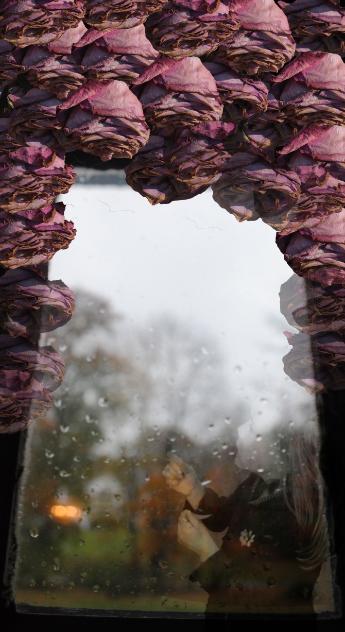 window of roses