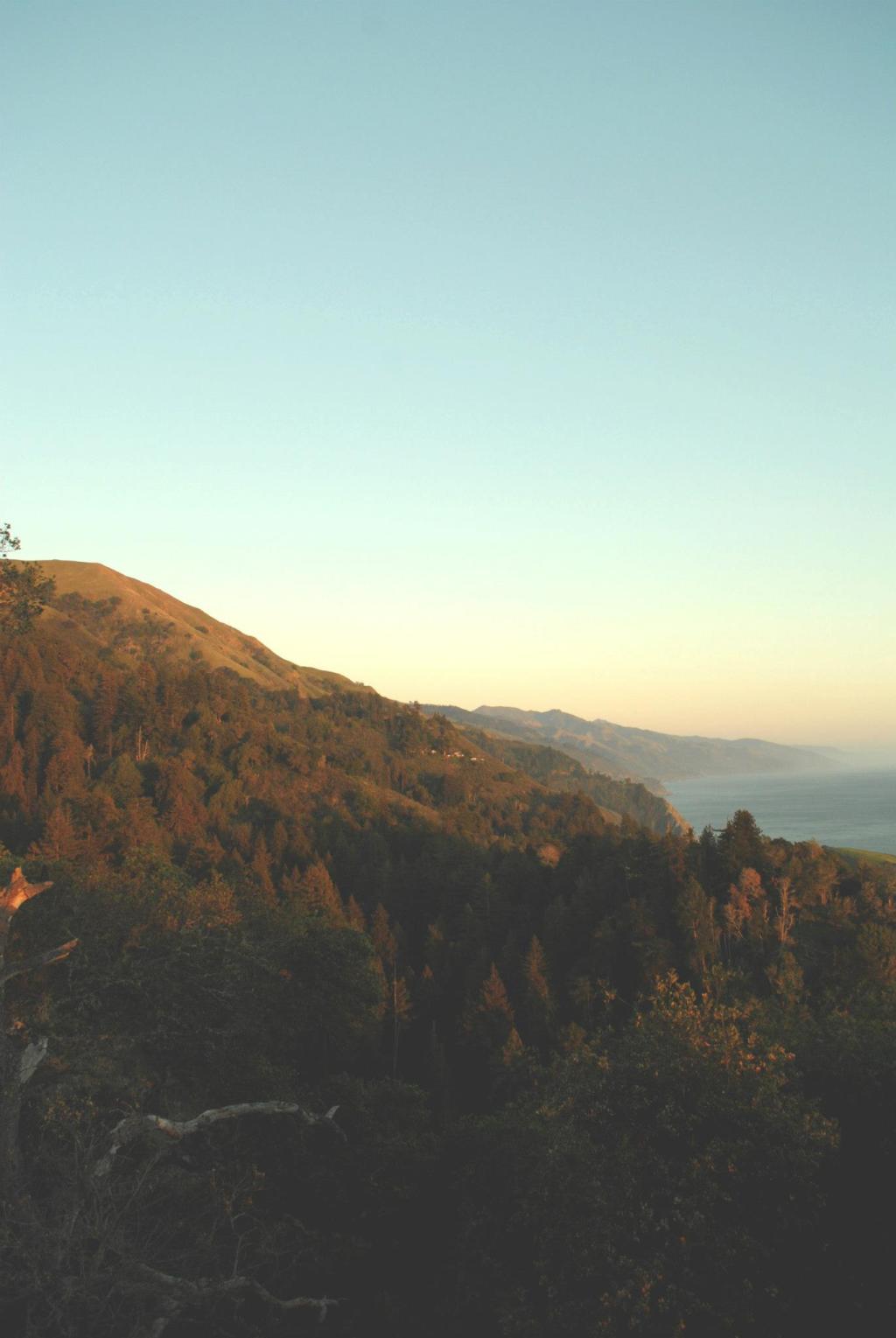 my grandfather, lost girls, and a&nbsp;declaration