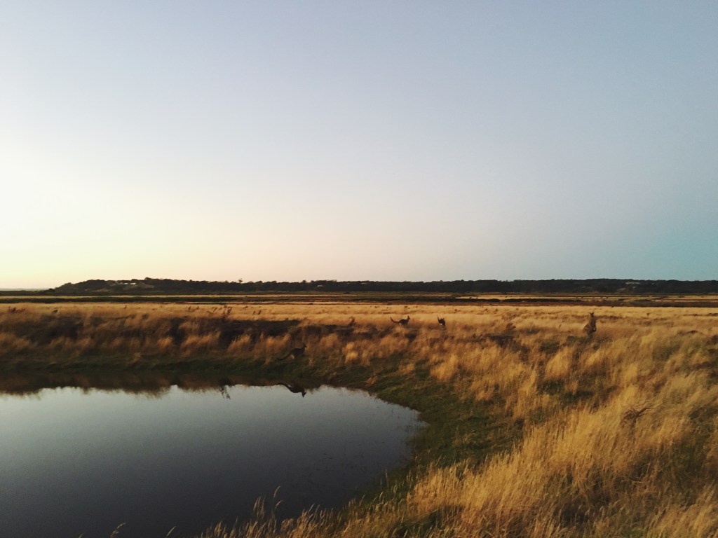 Another need for&nbsp;freedom