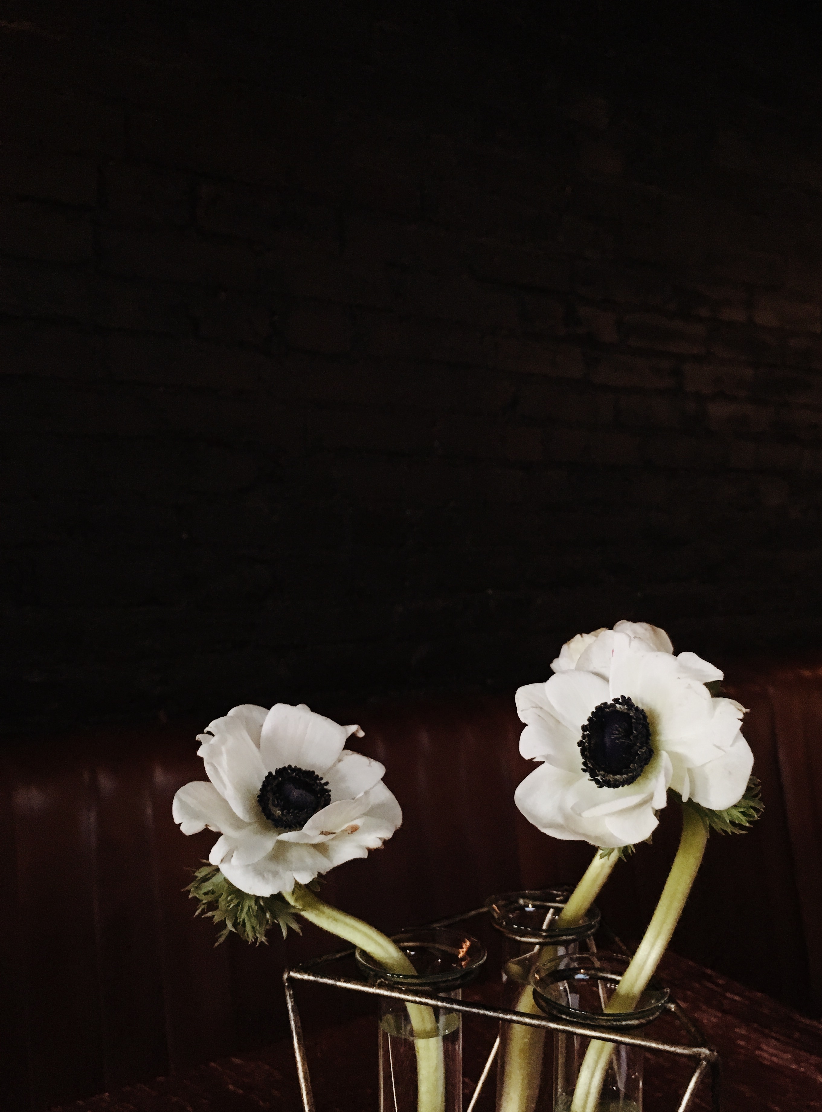 Processed with VSCO with m5 preset