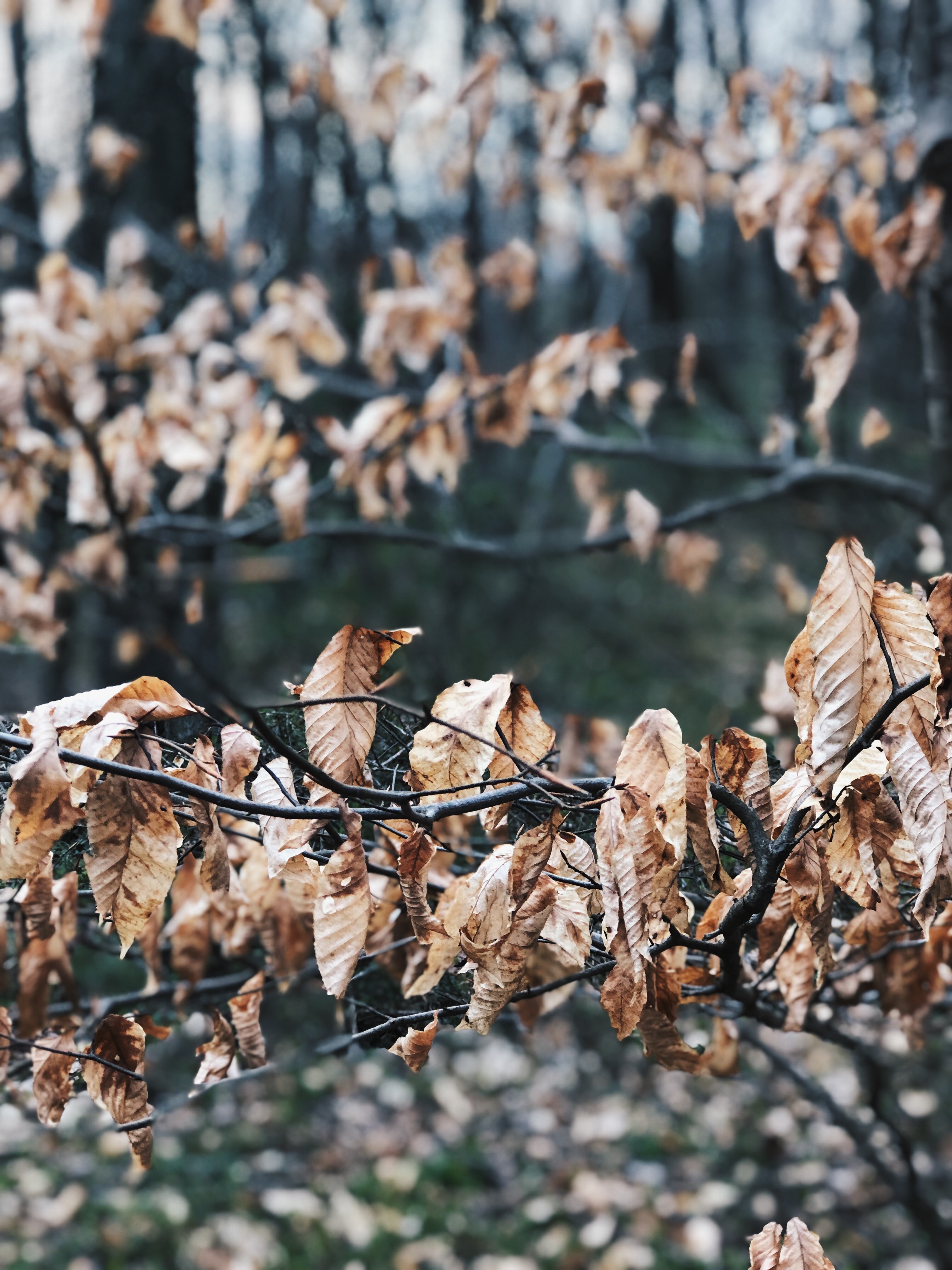 Processed with VSCO with hb2 preset