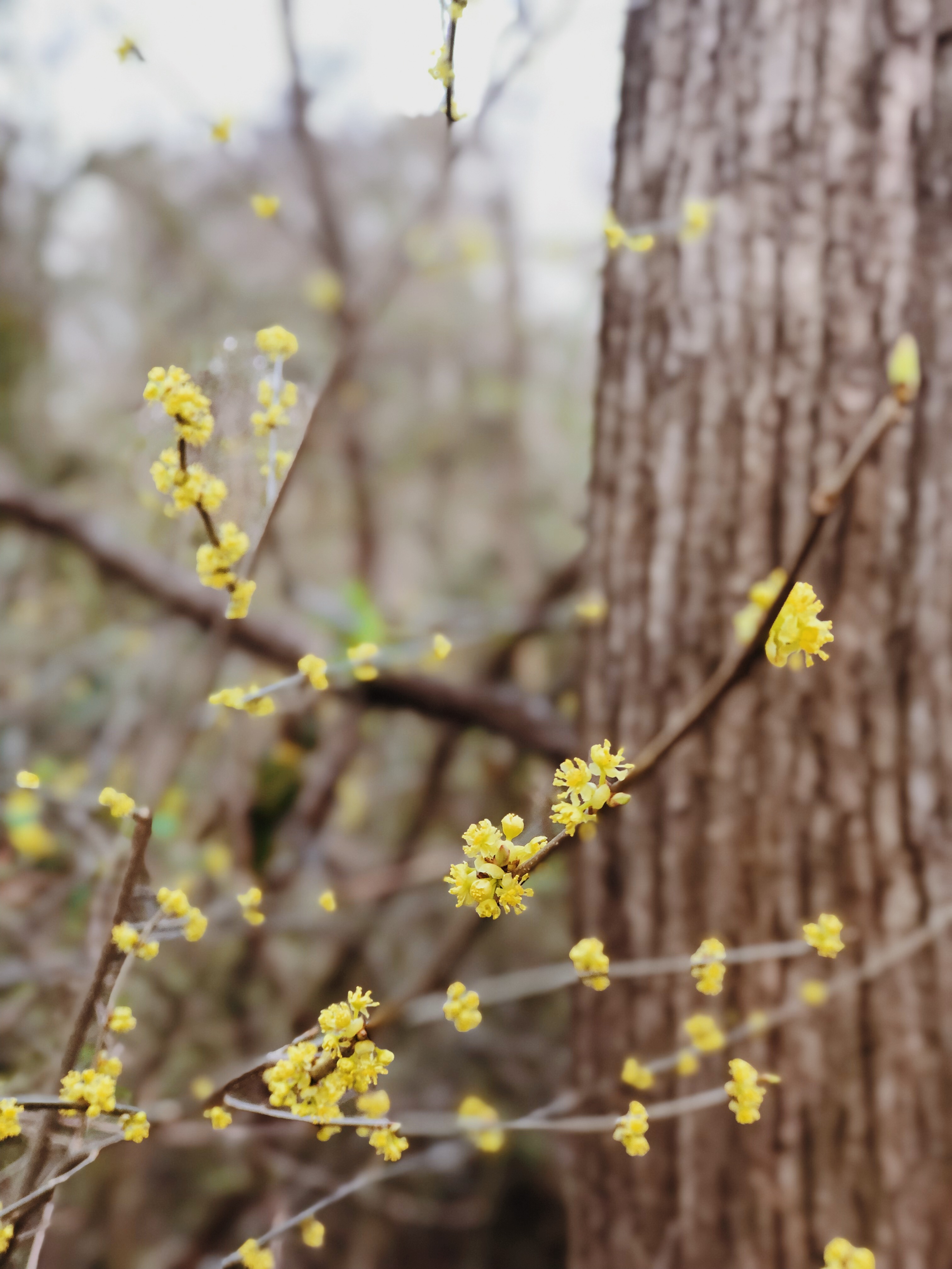 Processed with VSCO with m5 preset