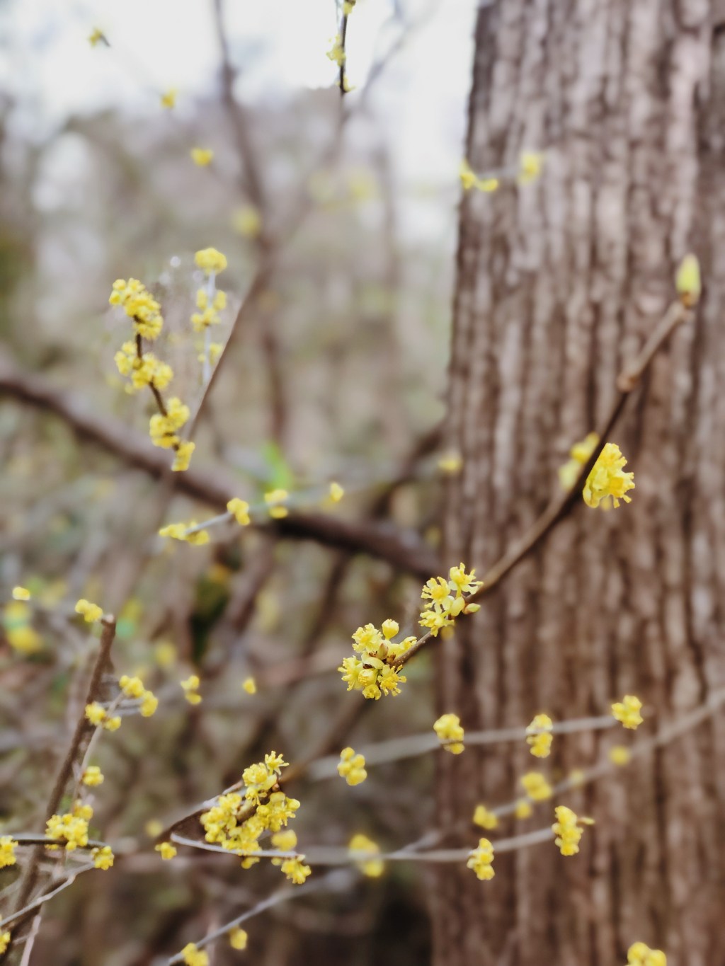 He Loved Them to the&nbsp;End
