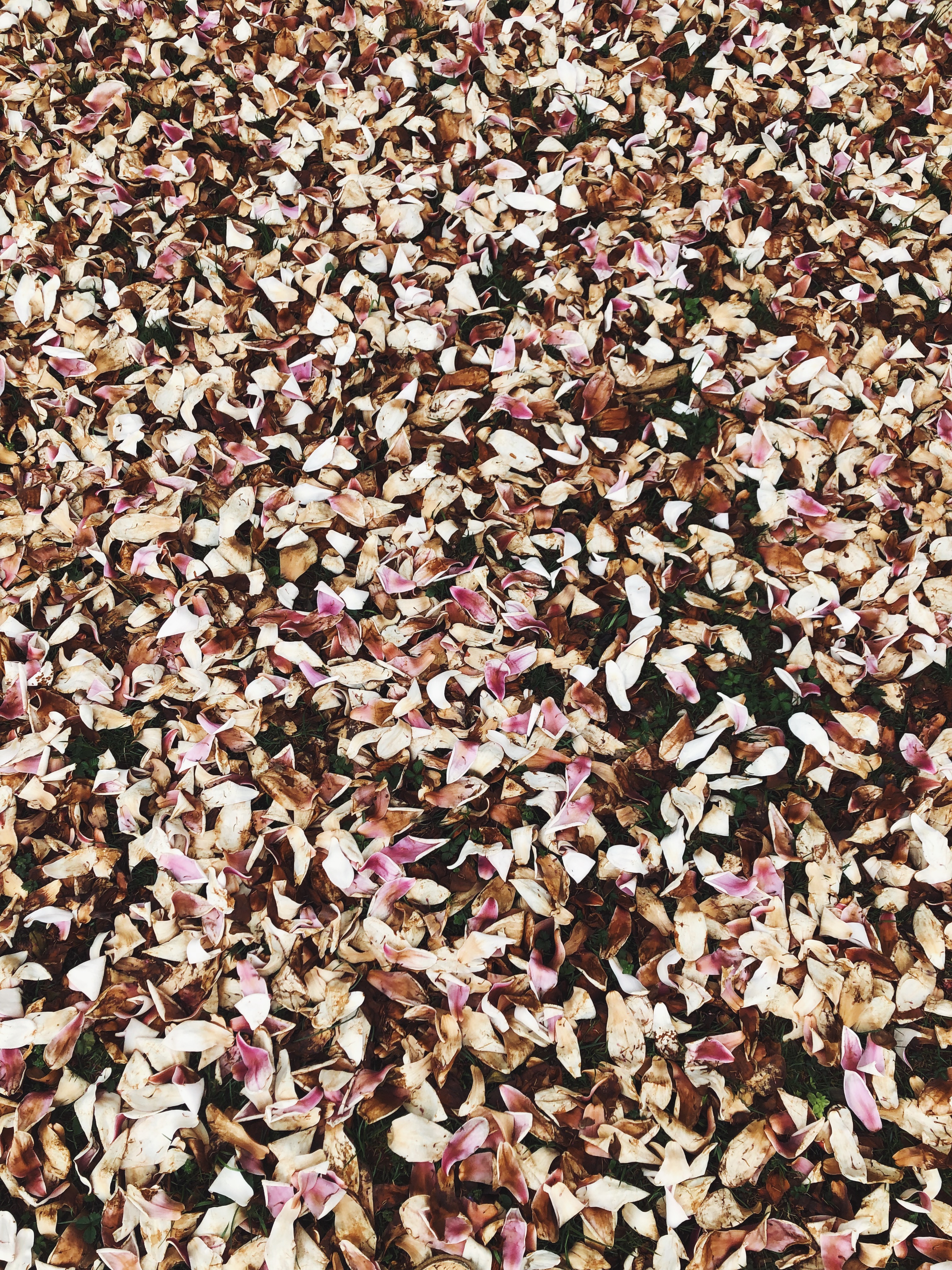 Processed with VSCO with a9 preset