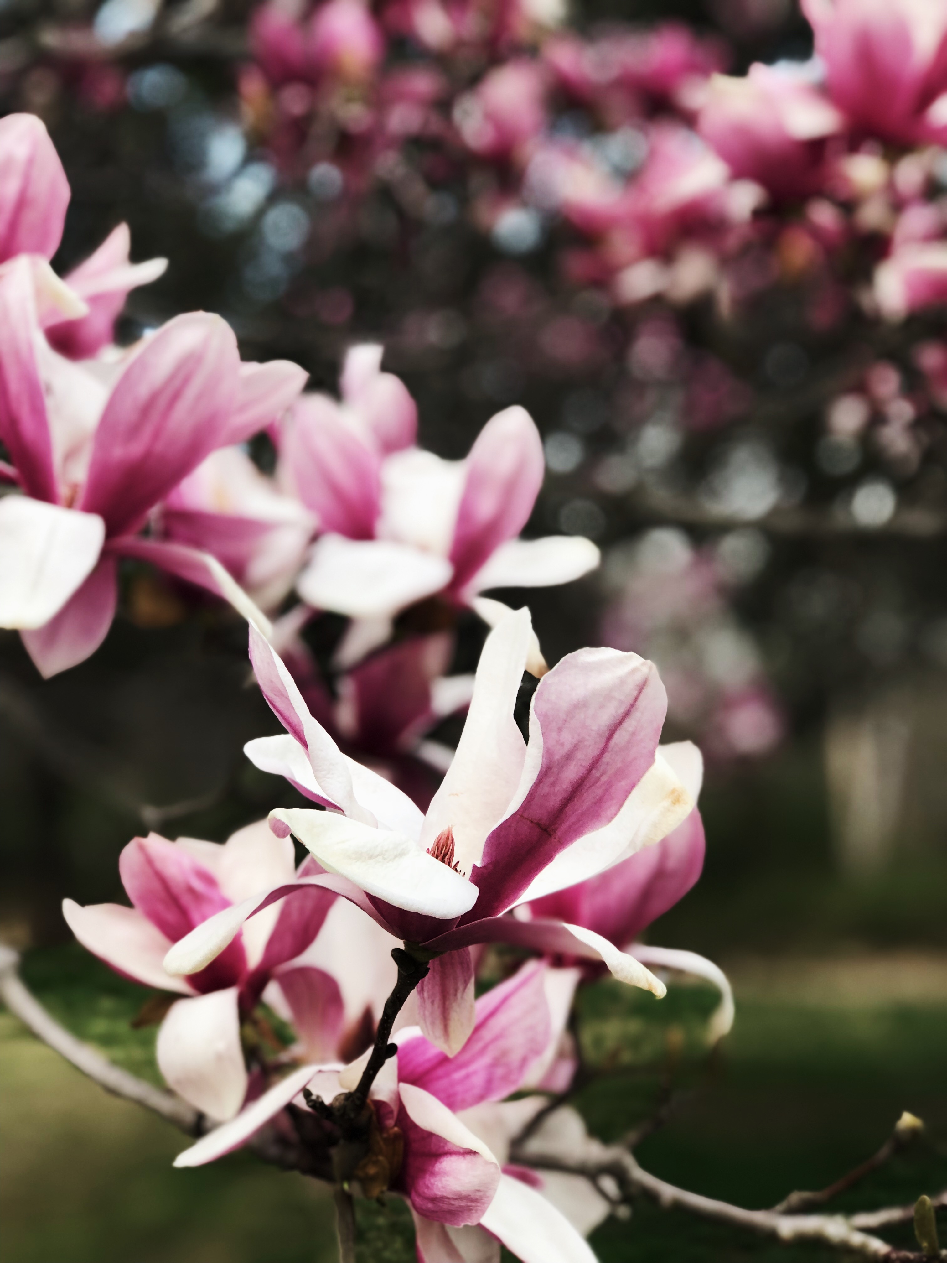 Processed with VSCO with se3 preset