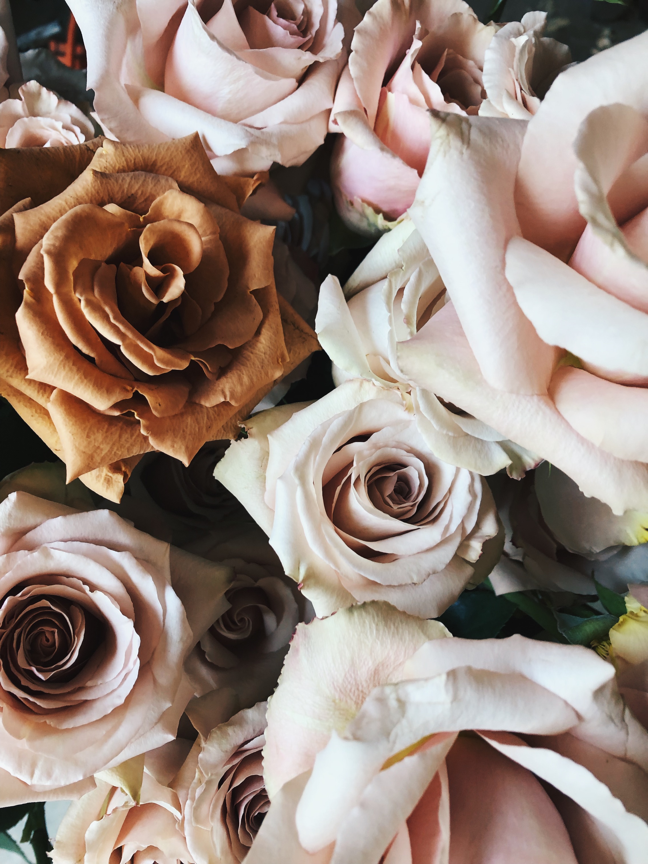 Processed with VSCO with hb2 preset