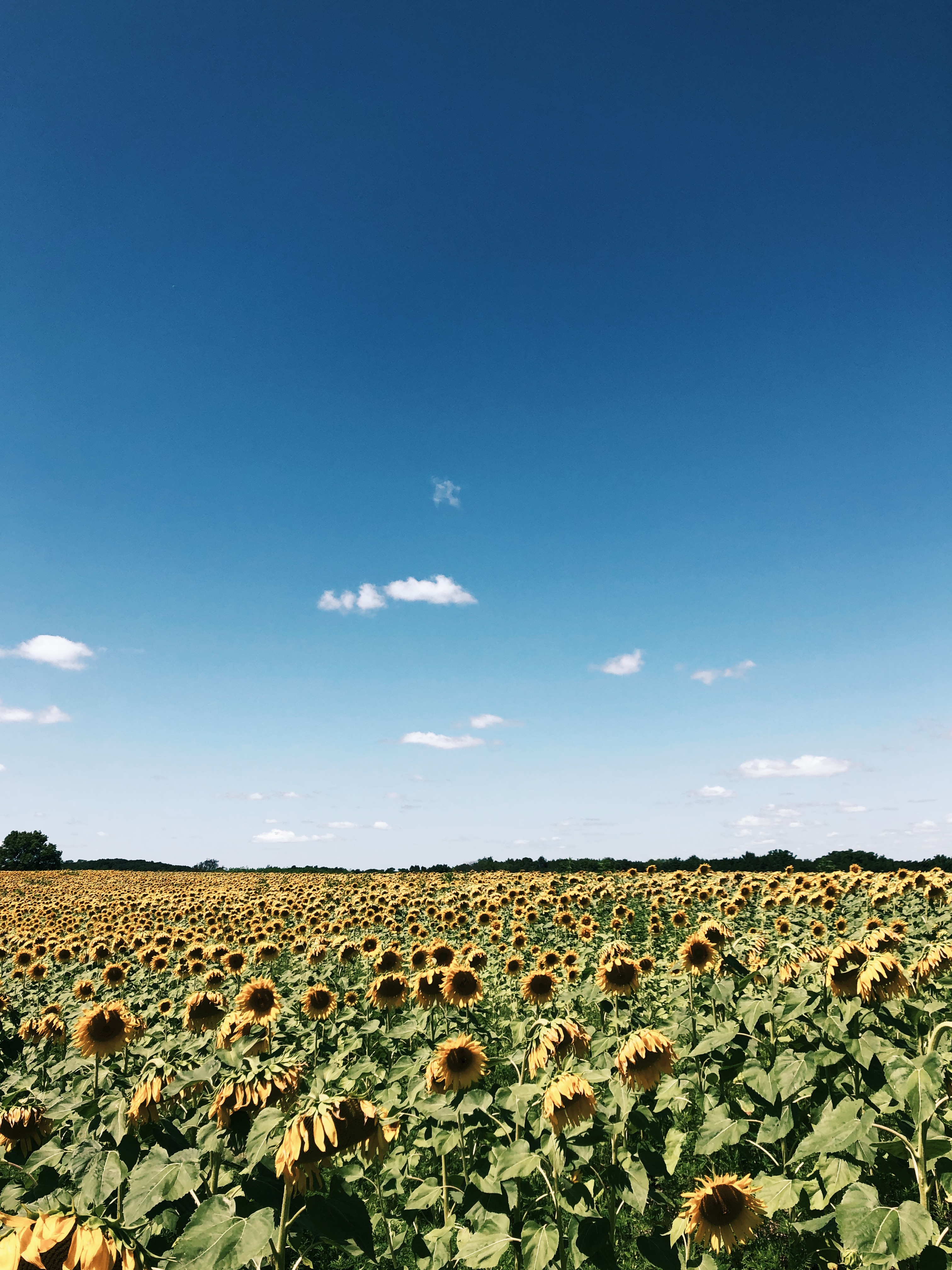 Processed with VSCO with j4 preset