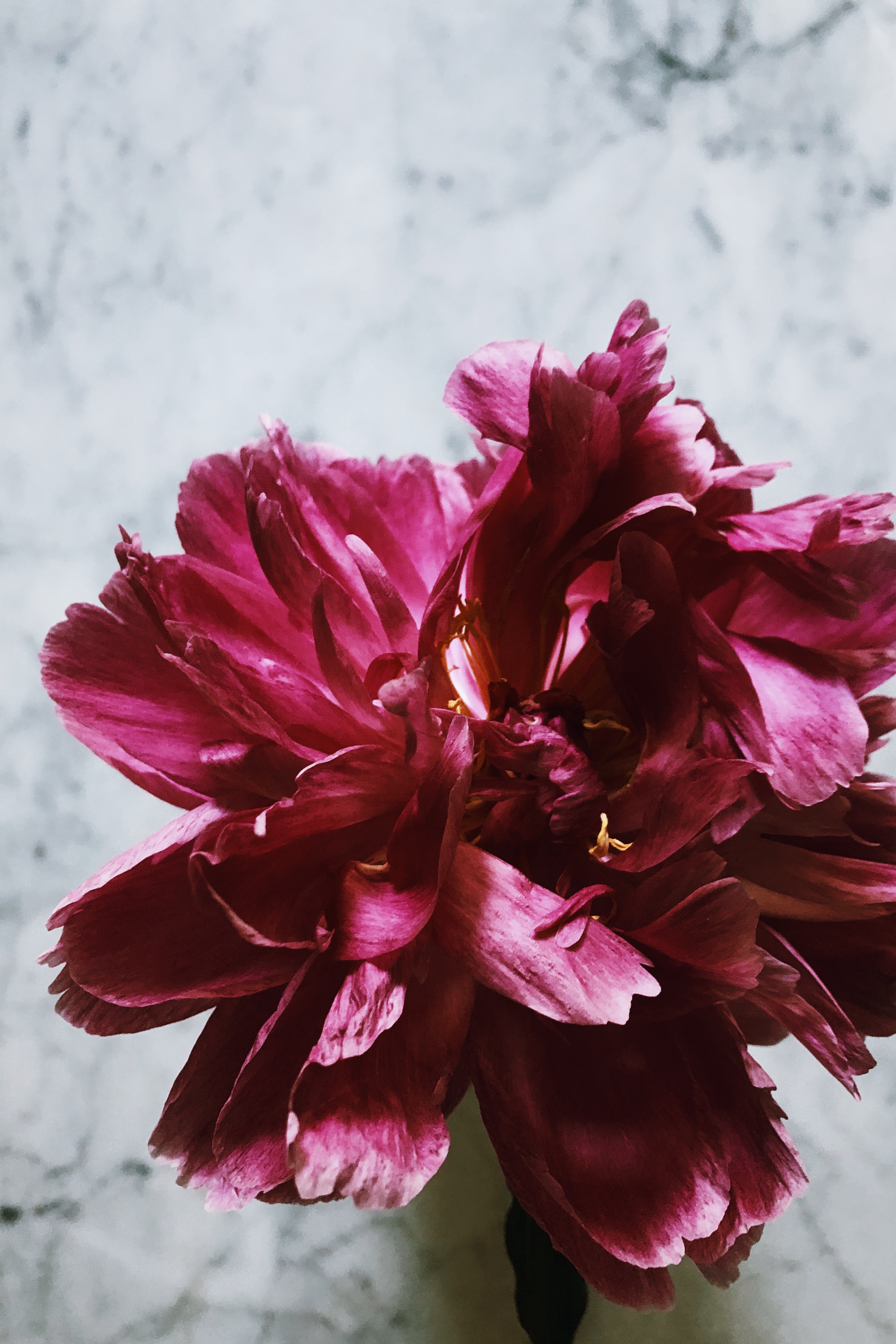 Processed with VSCO with j2 preset