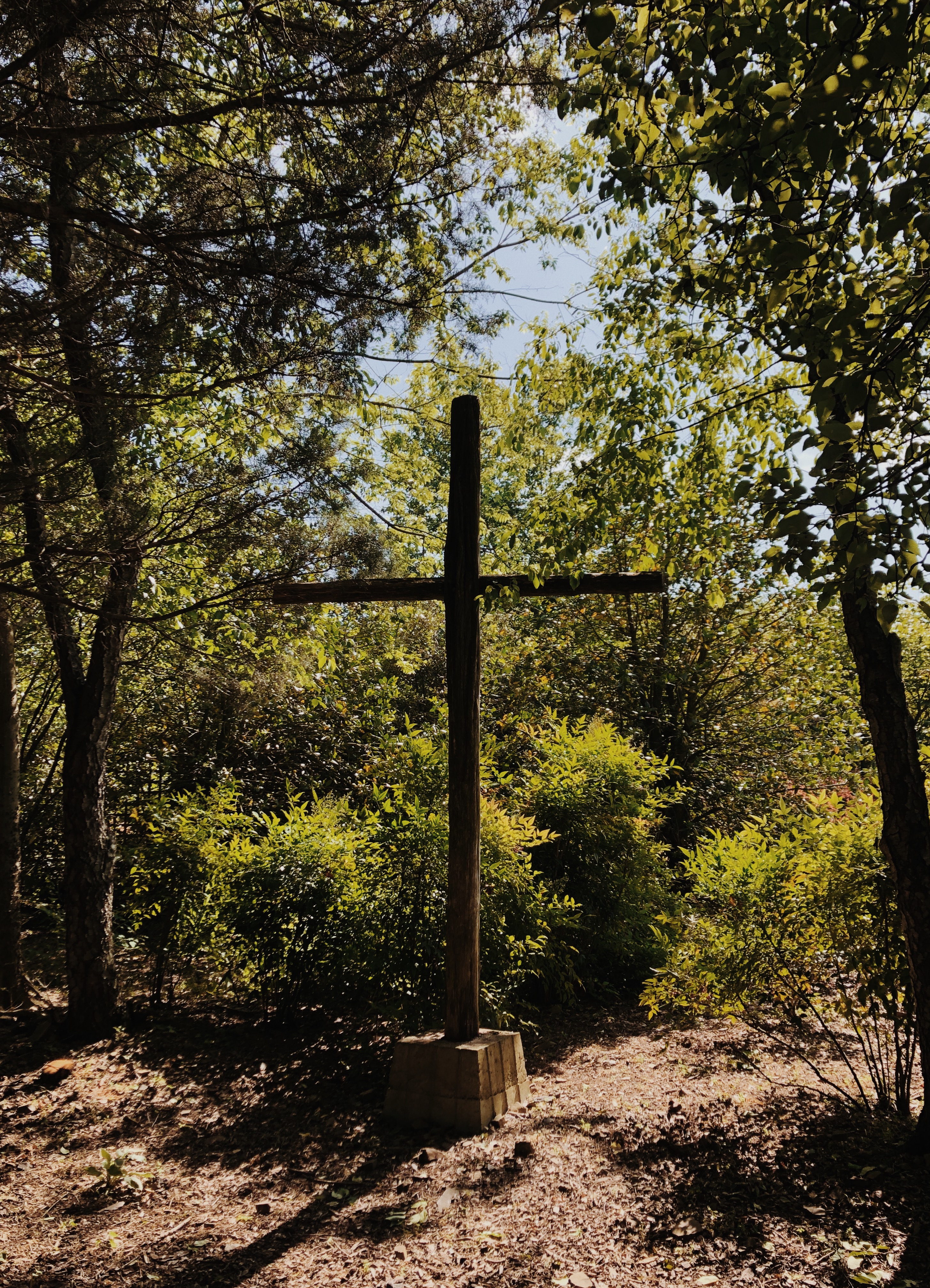 Processed with VSCO with m5 preset