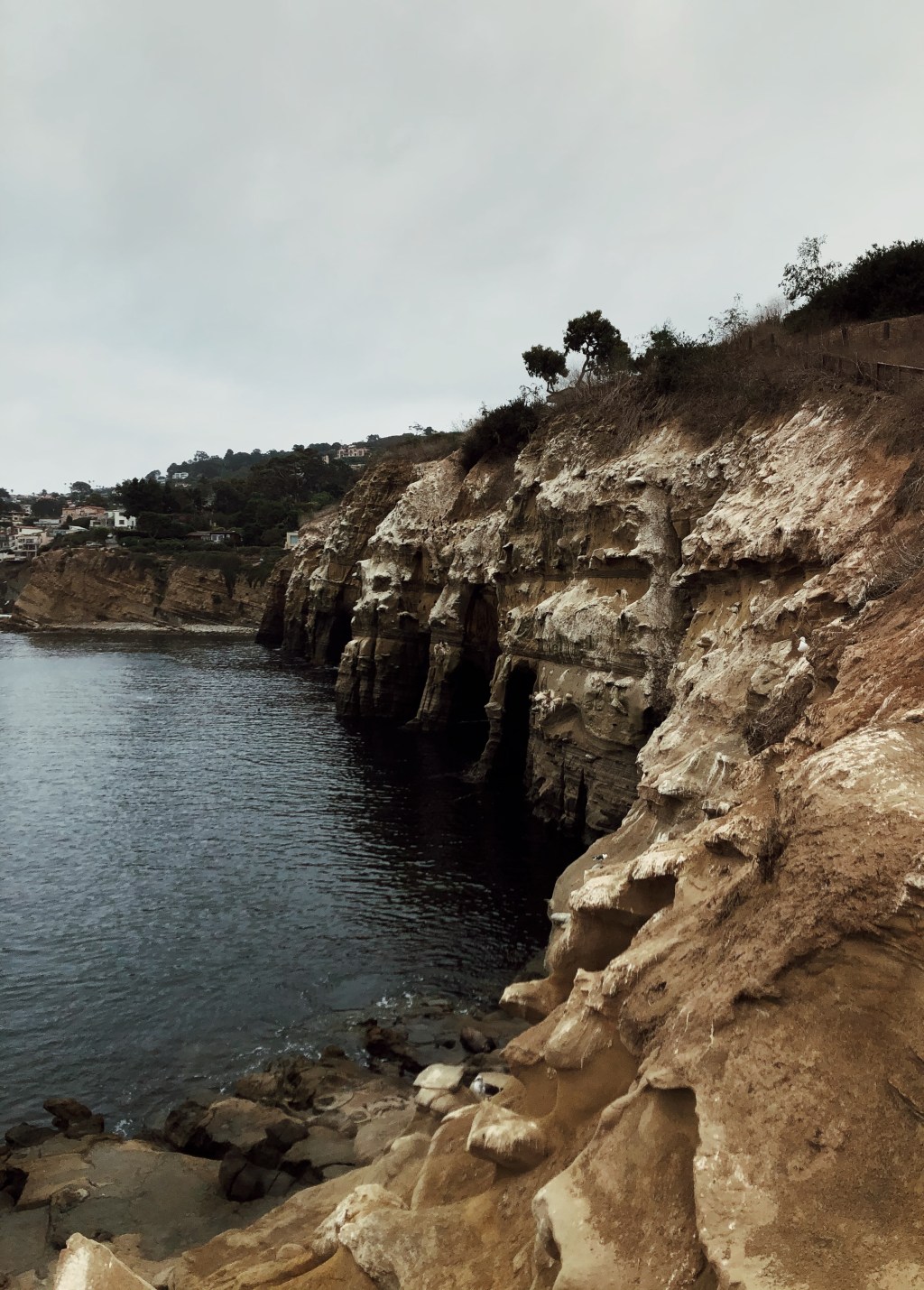 Eight Months One&nbsp;Week